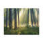 «Sunrise Green Forest Nature Wilderness», photographie sur toile