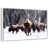 Floating Frame White
