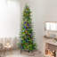 Arbre de pin Carmel-1854374963