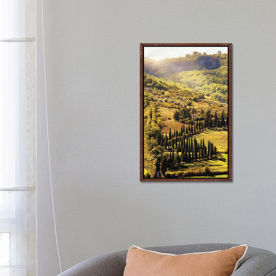 Countryside In Tuscany Italy With Cyprus Trees von Susan Richey - Gallery-Wrapped Canvas Giclée on Canvas