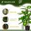 Artificial Evergreen Tree in Nursery Pot -1424596537