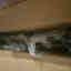 Customer photo 2 of 3
