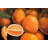 Fresh Oranges - Kitchen Hyperrealist Metal Print for Home Decor