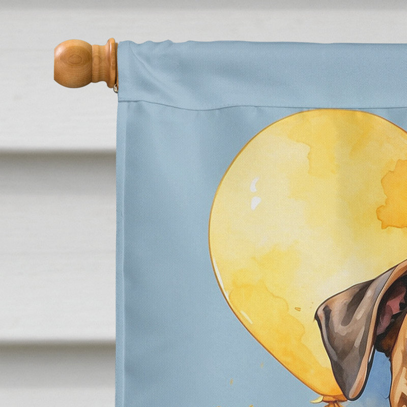 Drapeau «Happy Birthday House», Boxer