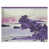 Purple/White