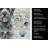 Gray Bouvier des Flandres Coastal Sea Glass Kitchen Towel-871464008