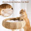 Tour pour arbre à chat Modern Modern
