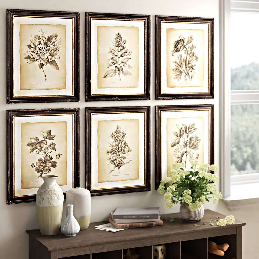 Vintage Floral Blossom Set - 6 Piece Framed Wall Art August Grove®
