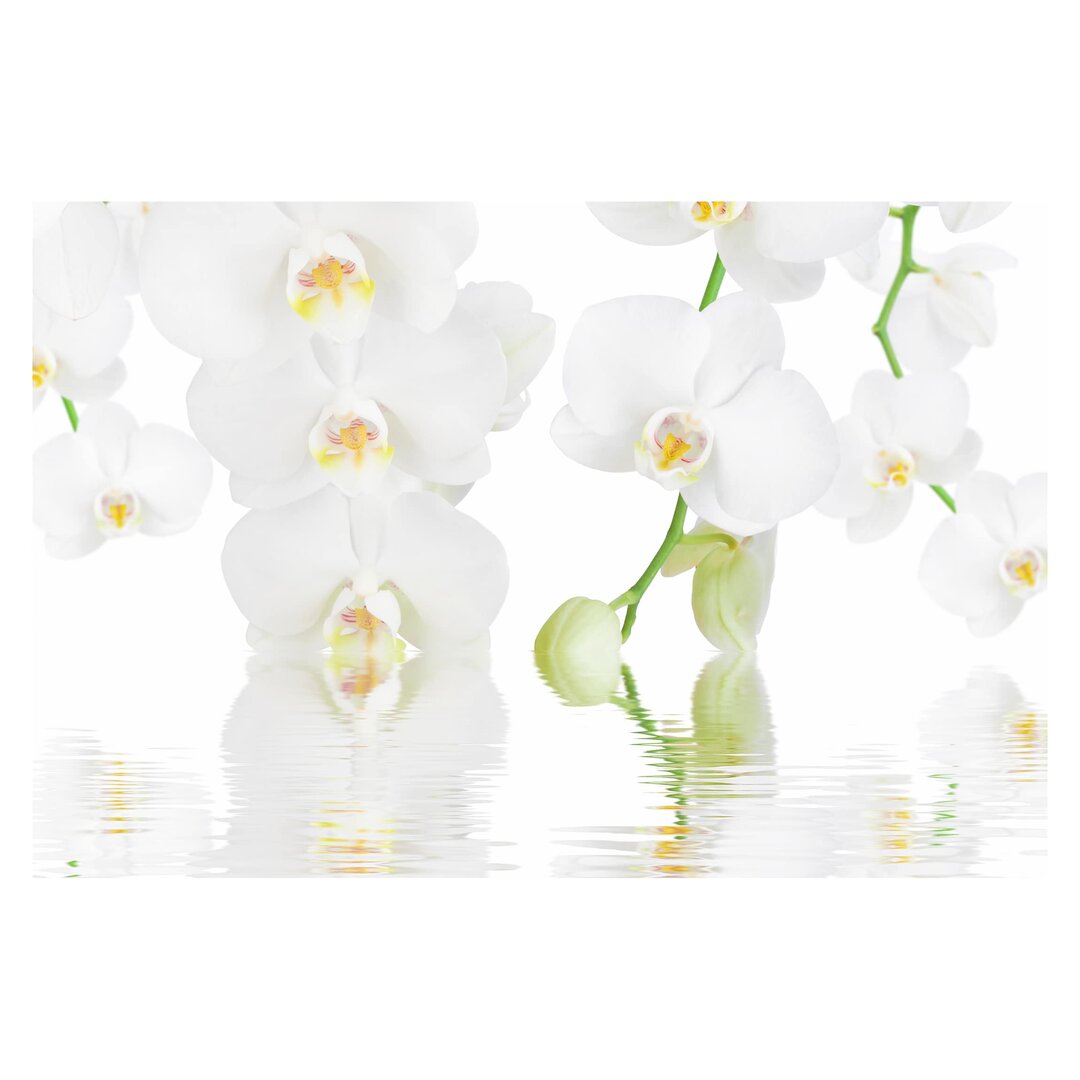 Matt Fototapete Wellness Orchidee - Weiße Orchidee 2,25 m x 336 cm