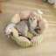 Lit pour chat Fairela Cactus Blossom-1658046358