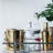 Gerbera Brass Stainless Steel Shaker