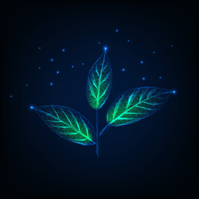 Glowing Plant - Wrapped Canvas Print