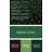 Vegetables Malabar Spinach Gray Canvas Wall Art-1169140860