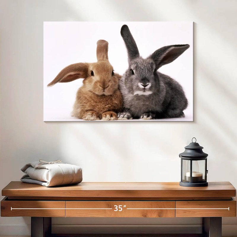 Lapins bruns et gris, H 16 po x l 24 po