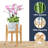 Bamboo Adjustable Plant Stand Indoor-592954709