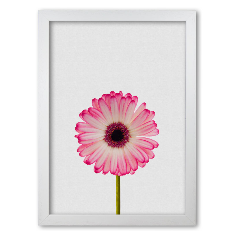 Daisy Still Life - Print, 85 cm H x 60 cm W x 5 cm D, White Grain Frame