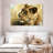 Lioness Study-107702389