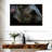 Asian Elephant Eye-107705495