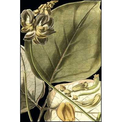 Tranquil Tropical Leaves I by Vision Studio - Wrapped Canvas Print