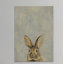 What Up Rabbit by Julia Posokhova - Wrapped Canvas Painting-27189033