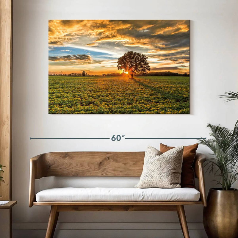 After The Storm Burr Oak, H 32 po x l 48 po