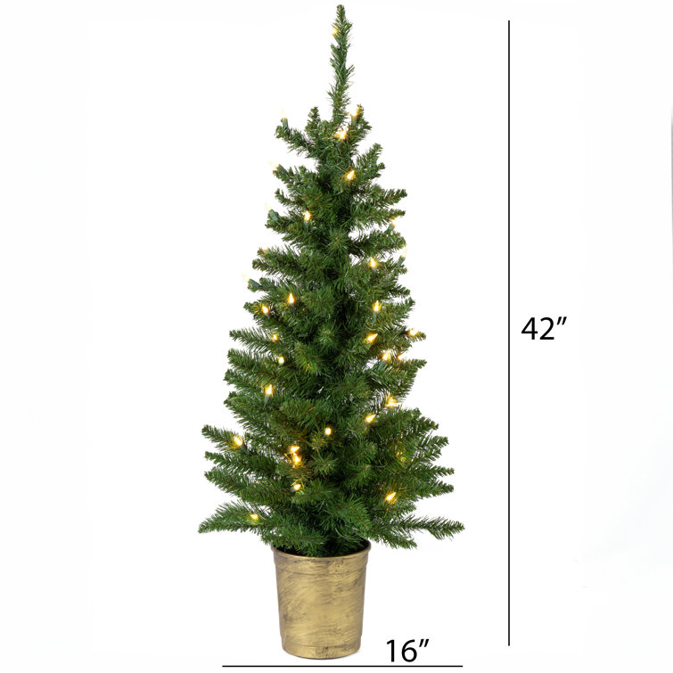 https://assets.wfcdn.com/im/32631148/resize-h755-w755%5Ecompr-r85/2604/260440513/3.5%27+Lighted+Christmas+Tree.jpg