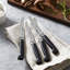 ZWILLING Four Star 4-Piece Steak Knife Set