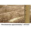 Tapis modernes Handister 3-D-800 5 pi x 7 pi Champaign-91535063