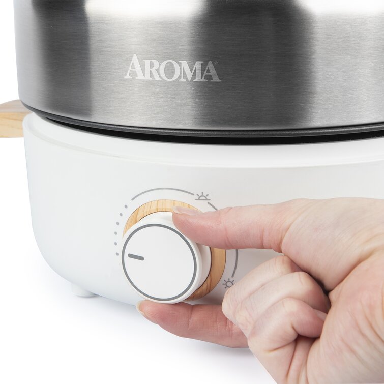 Aroma Housewares AMC-130 Whatever Pot, Indoor Grill, Cooking, Hot