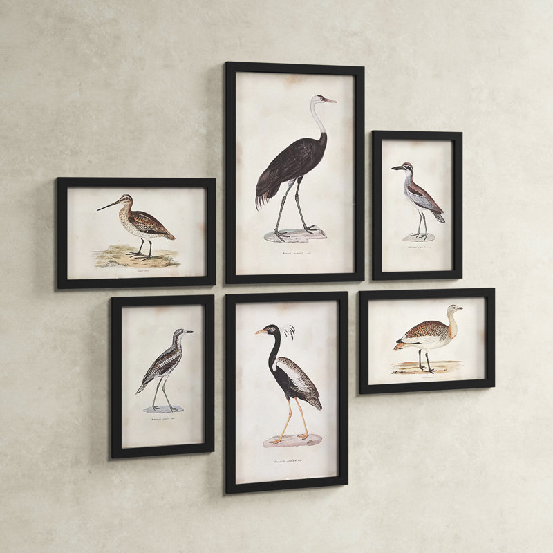 Waterfowl Gallery 6-Piece Aquatic Bird Art Print Set