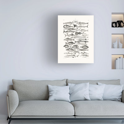Bolog Oliver Goldsmith Sealife I Canvas Art
