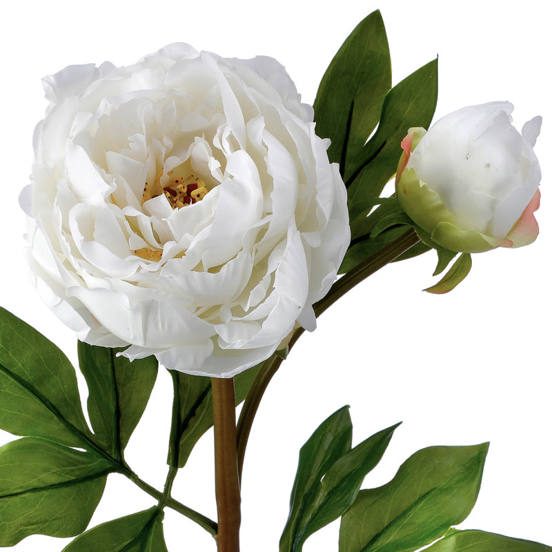 26" Just Cut Garden Peony And Bud, White, 26" H x 9" W x 6" D
