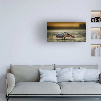 Baris Akpinar Pelican Take Off2 Canvas Art