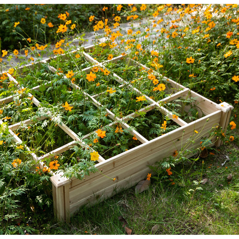Ensemble de lit de jardin surélevé Roswell avec 9 grilles de croissance, jardinière en bois pour plantes et herbes
