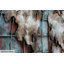 KUNSTLOFT Wall Décor