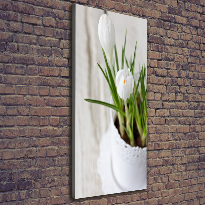 White Crocuses - Wrapped Canvas Print