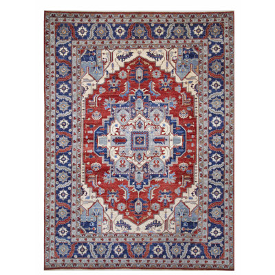 Hand Knotted Wool Area Rug in Red And Navy