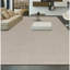 Area Rug in Gray