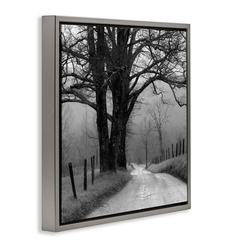 "Lonely Path Vers Trees", art mural encadré flottant par Nicholas Bell, Cadre flottant gris lustré, H 25 po x l 25 po