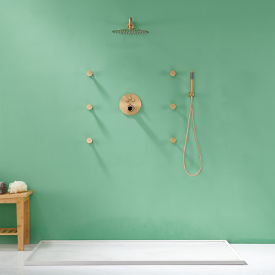 Système de douche mural rond de luxe en acier inoxydable avec 6 jets de corps Herathena