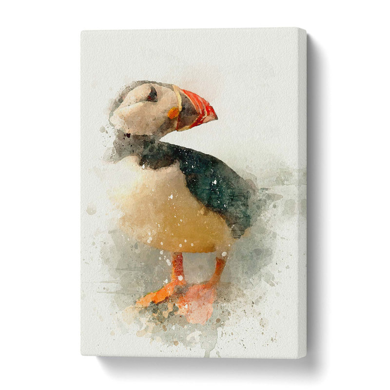 An Atlantic Puffin - Wrapped Canvas Print, 61 cm H x 40.6 cm W