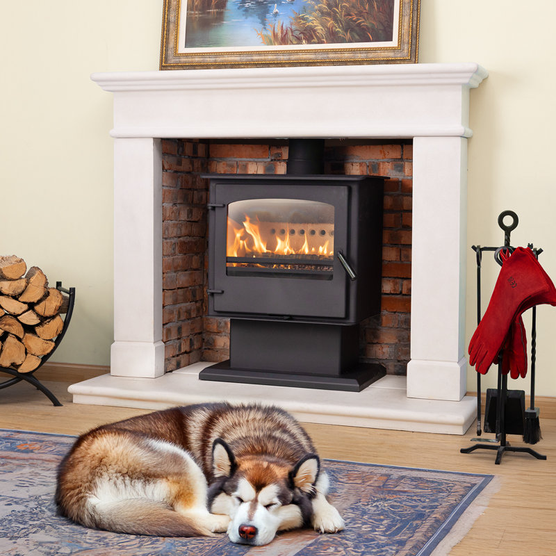 Aoodor Wood Burning Stove