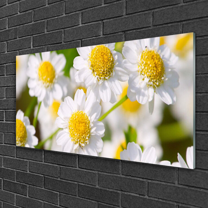 Floral Daisy - Unframed Photograph on Glass