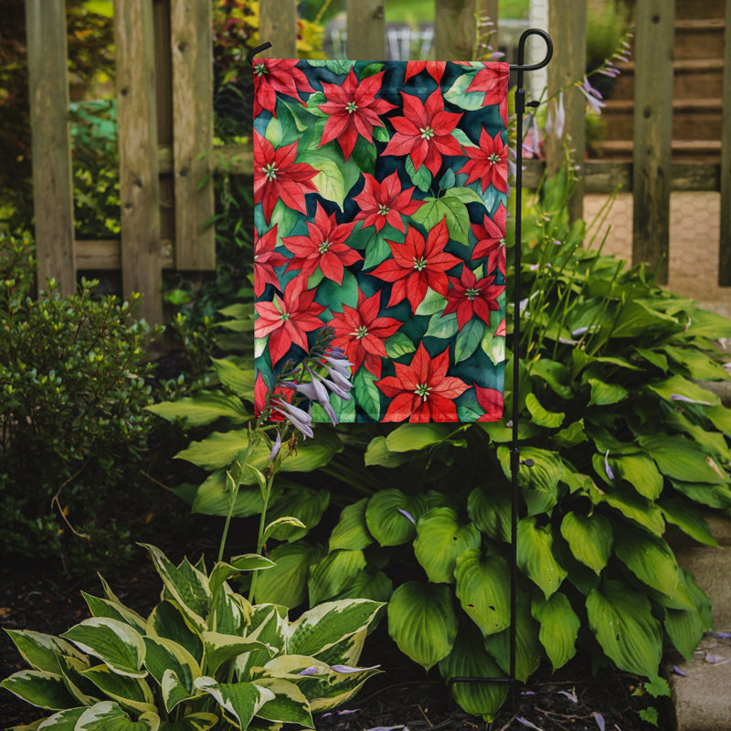 Orchidées paphiopedilum, drapeau du jardin, Poinsettias