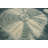 Sarahgrace Trellis 5 x 8 Hand-Tufted Modern Rug