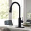 Pull Down Single Handle Kitchen Faucet-1779989192
