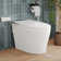 Bidet Toilet, One-Piece Elongated Smart Toilet with Foot Kick Flush, Warm Wash (Seat Included)