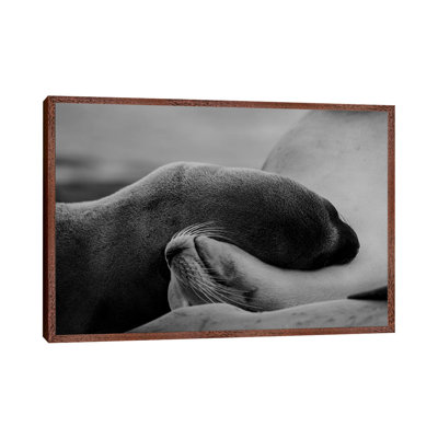 Sleeping Beauty by KrysTom - Print on Canvas