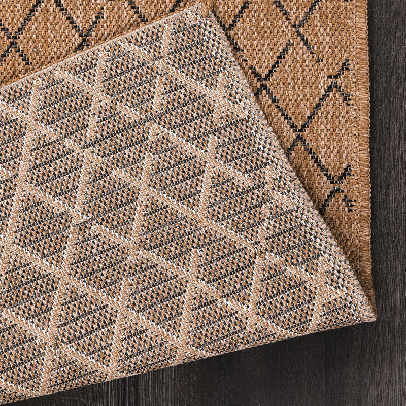 Non Slip Area Rugs Washable Carpet Pad Entryway Rug Weather Resistant Indoor and Outdoor Use 840305, Rectangle 160 x 230 cm