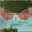 Chaise Anson (ensemble de 2) - Orange